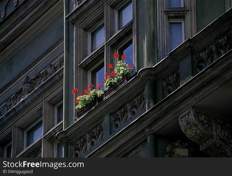 Windows with flowers in Prague, Czech Republic,. Windows with flowers in Prague, Czech Republic,