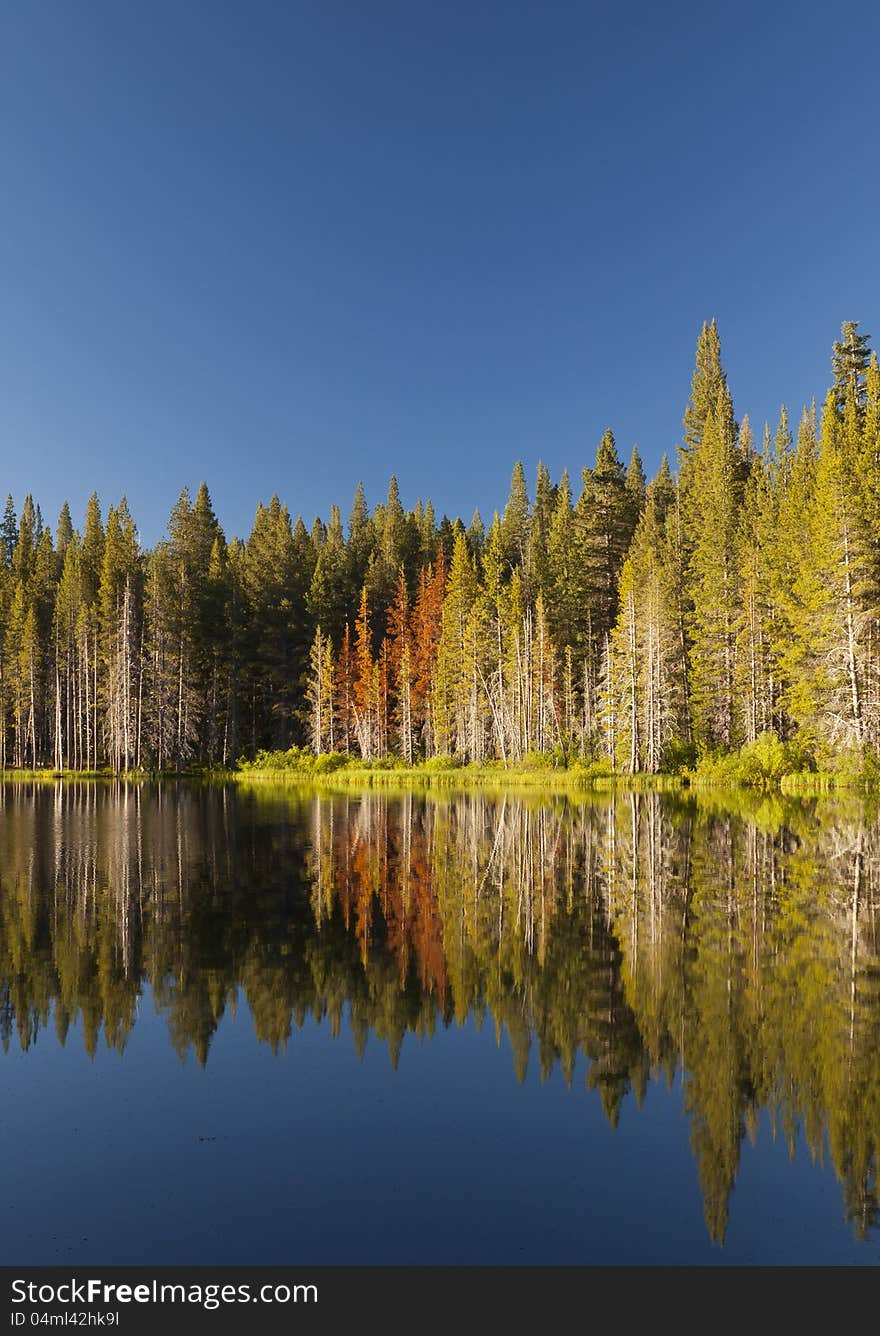 High sierra lake with mirror reflection and blue skies. High sierra lake with mirror reflection and blue skies