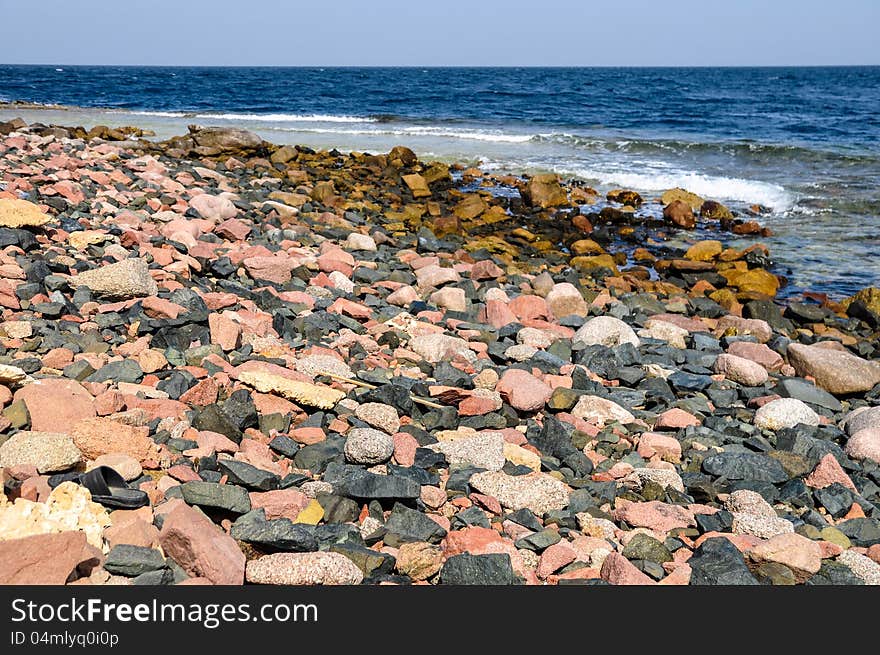 Landscape of the rocky beach in the Red sea