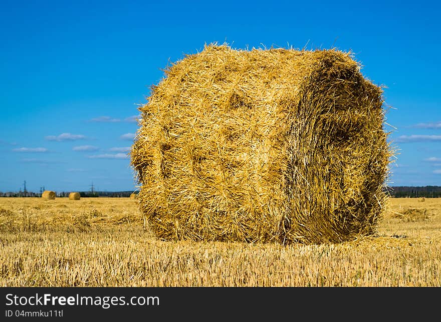 Farm field with hay bales