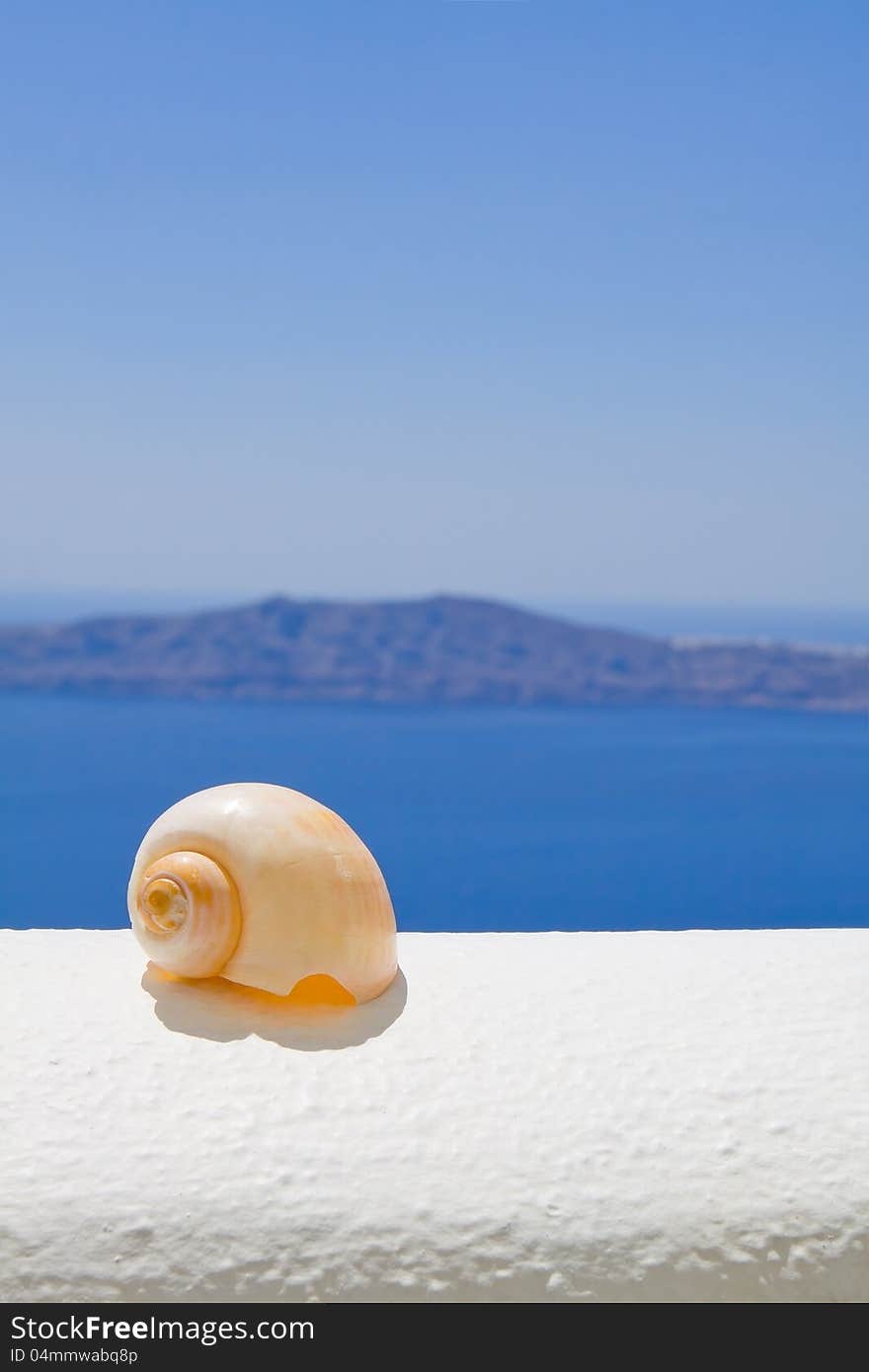 A seashell on a ledge with ocean background. A seashell on a ledge with ocean background