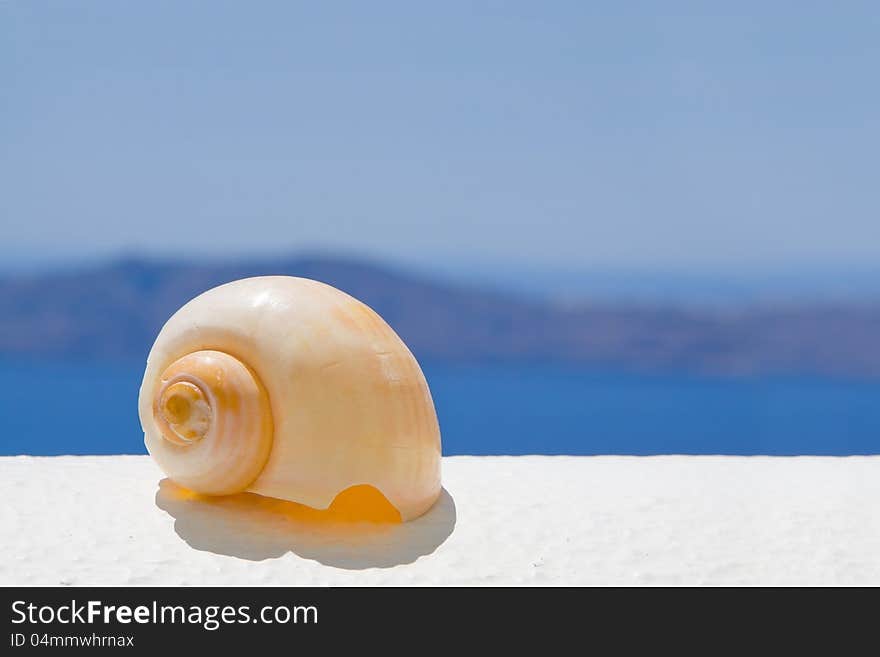 A seashell on a ledge with ocean background. A seashell on a ledge with ocean background