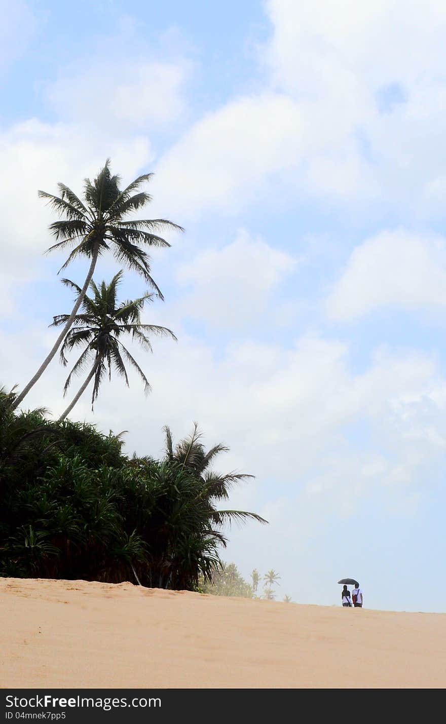 Couple in love on the shore of the Indian Ocean