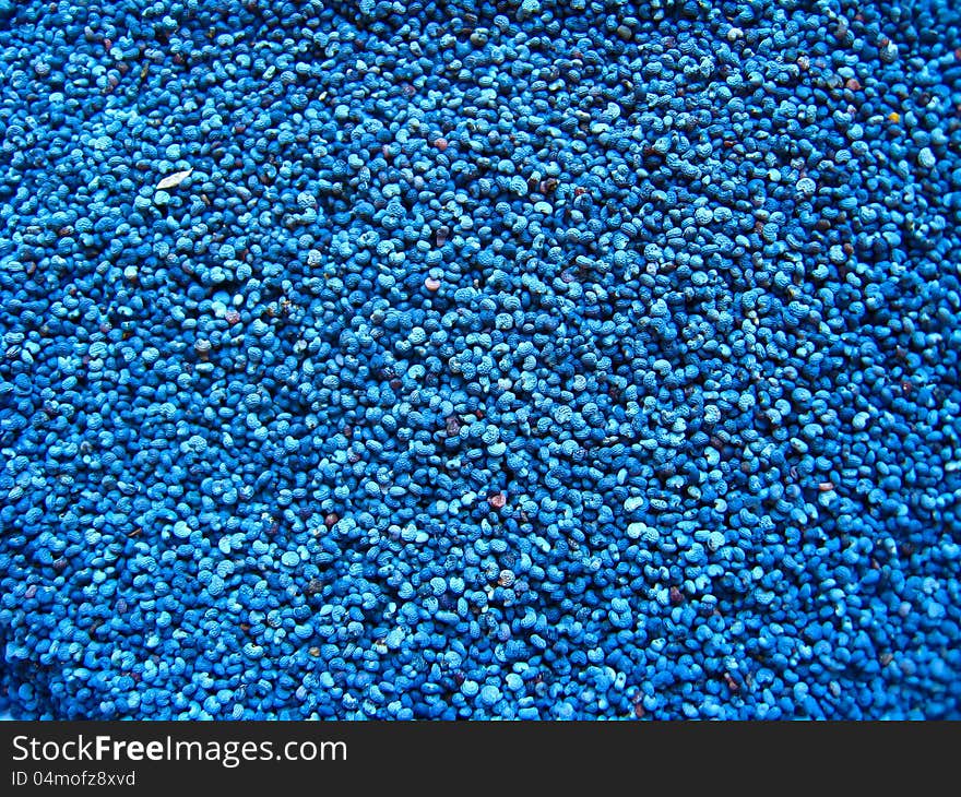 Grains of the blue poppy