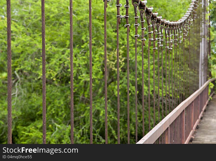 Rope walkway through the treetops in a rain forest. Rope walkway through the treetops in a rain forest