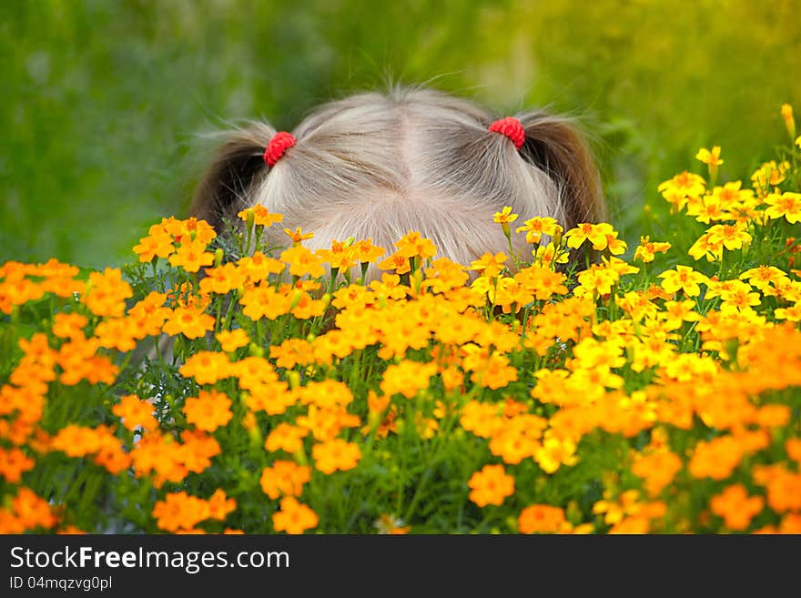 Little girl behind the flowers