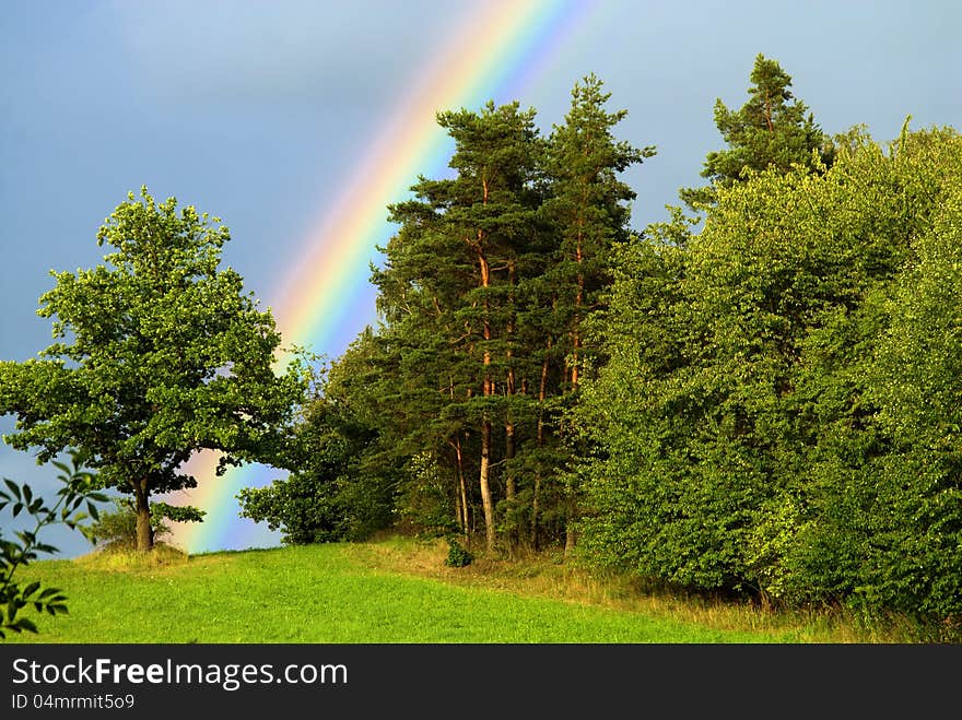 Beautiful rainbow during a summer storm