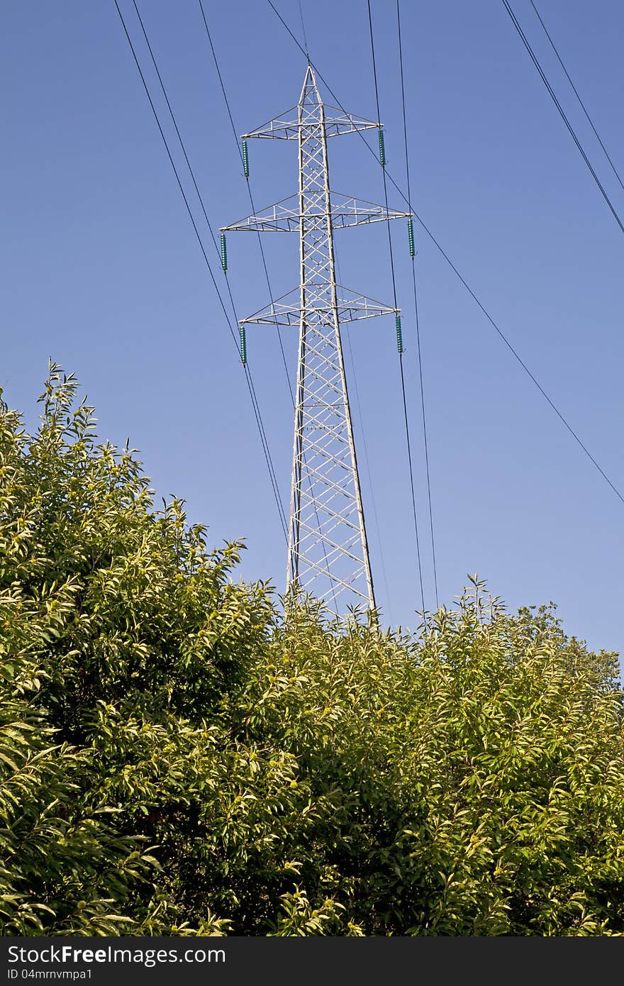 High voltage pylon that protrudes from a dense vegetation. High voltage pylon that protrudes from a dense vegetation