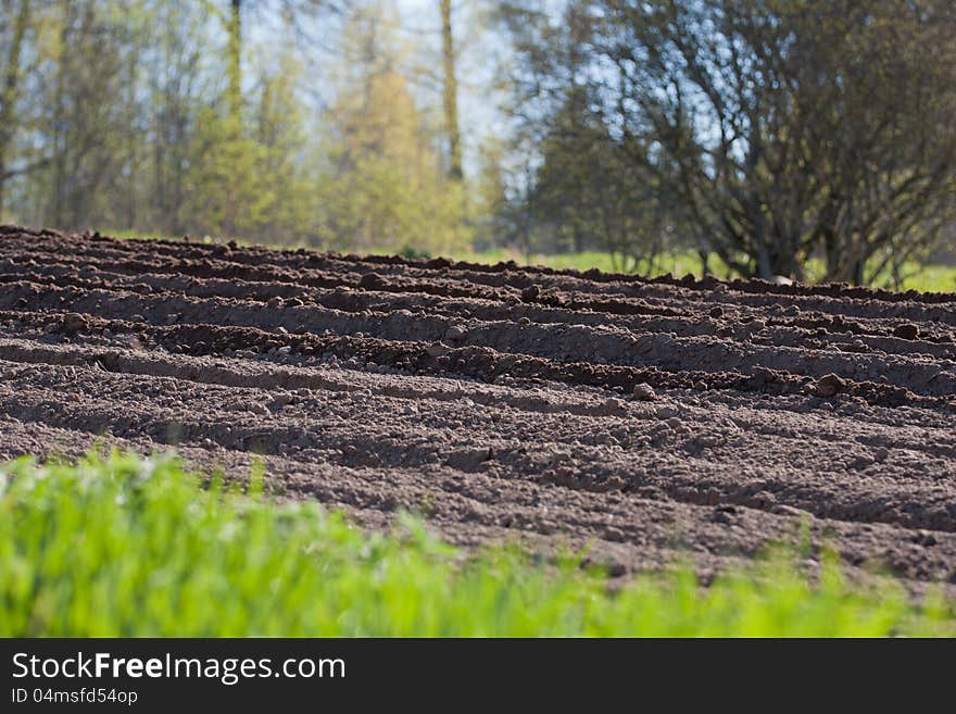 Agricultural soil in springtime