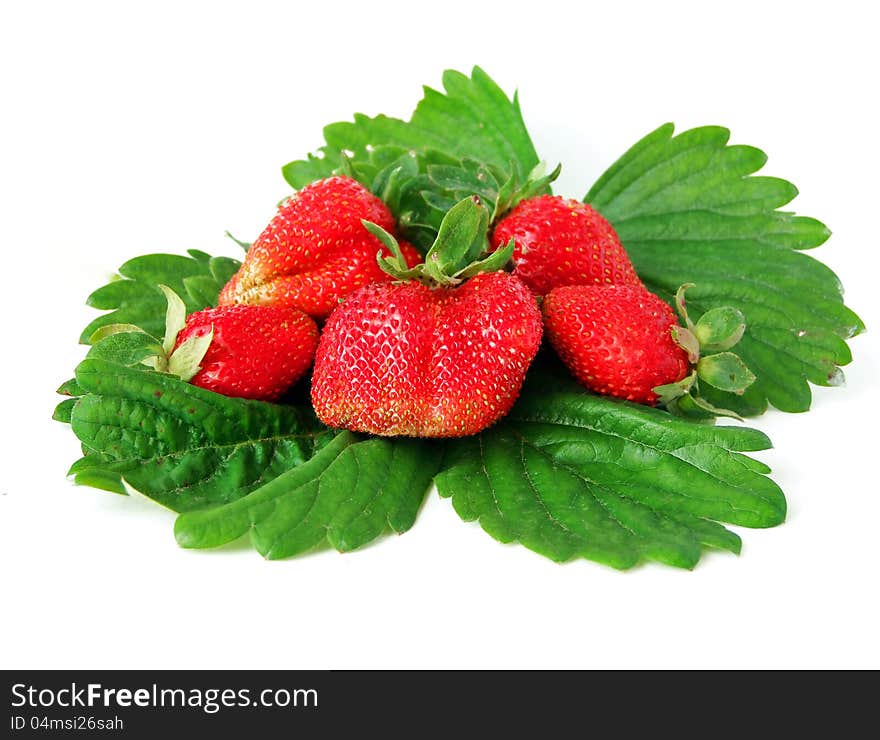 Strawberries with leaves