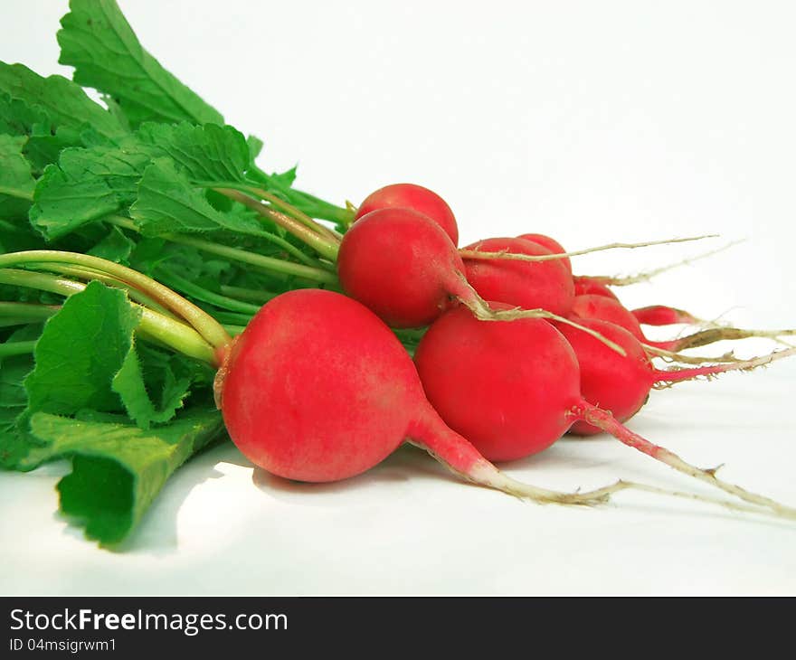 Radish