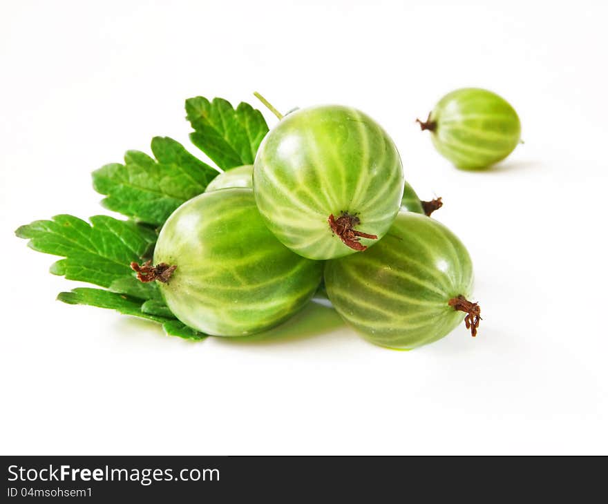 Gooseberry with leaves