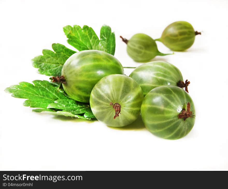 Gooseberry with leaves