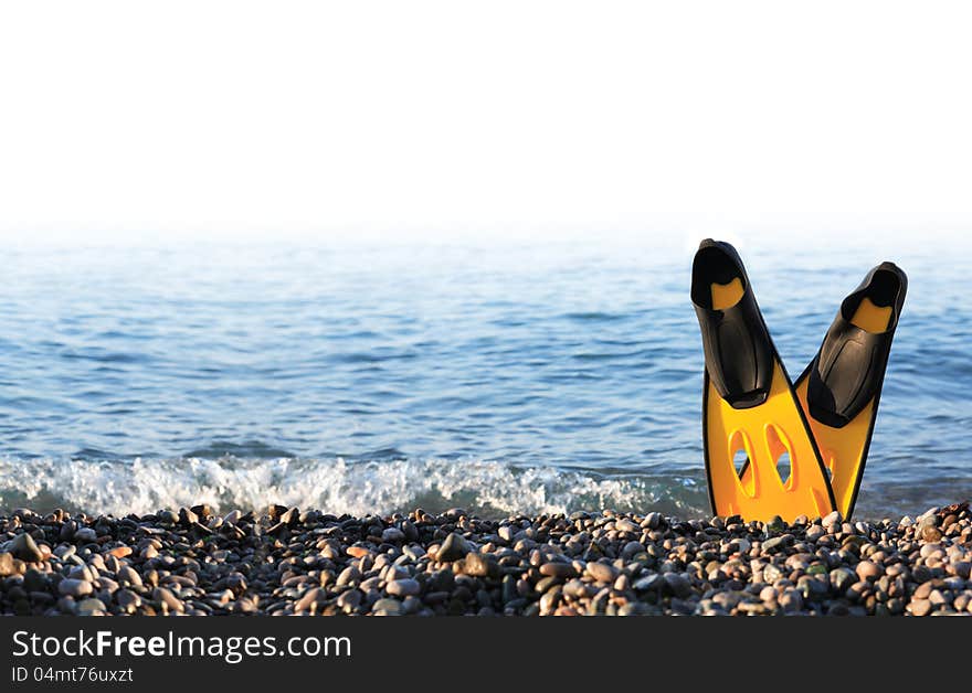 Diving concept. Pair of yellow flippers standing on seashore against sea. Diving concept. Pair of yellow flippers standing on seashore against sea