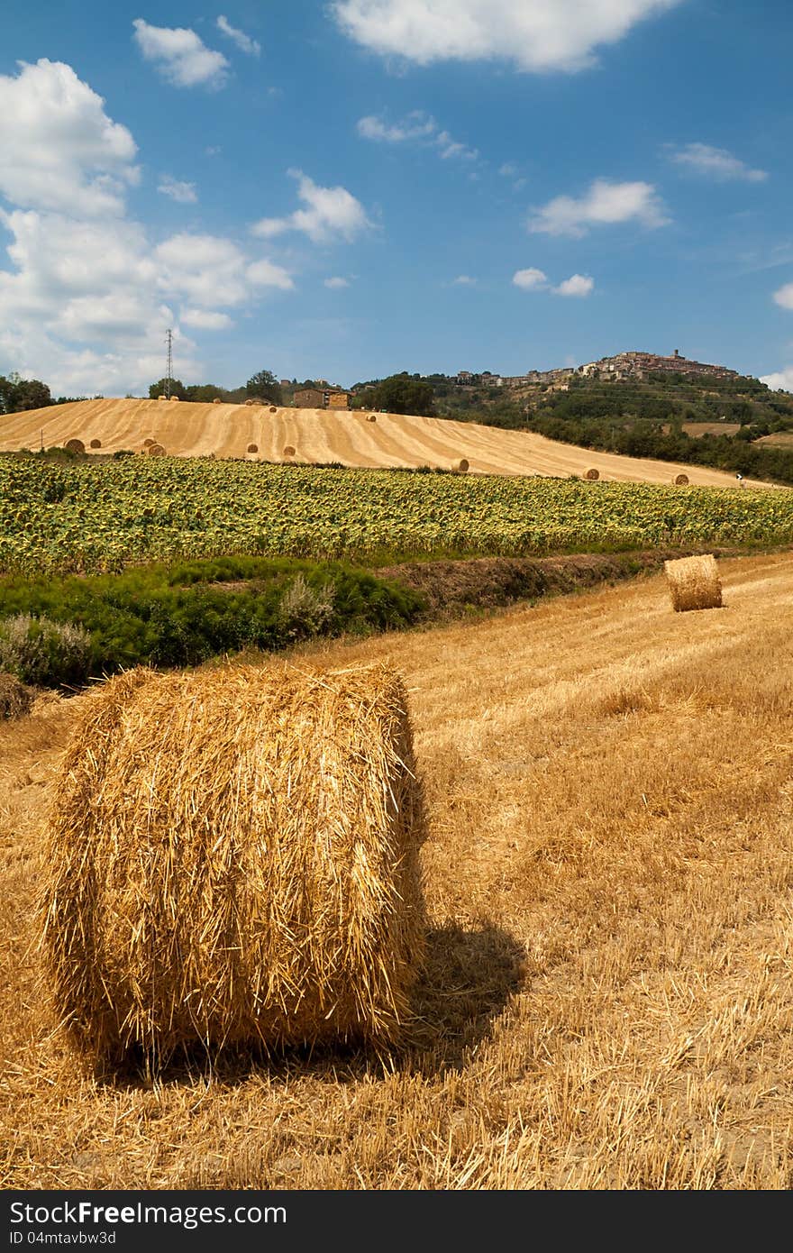 Tuscan countryside