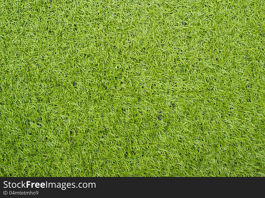 Artificial Green Grass Field Top