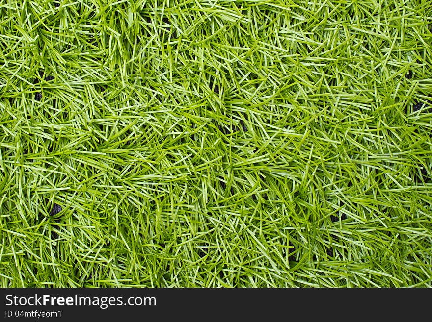 Artificial Green Grass Field Top