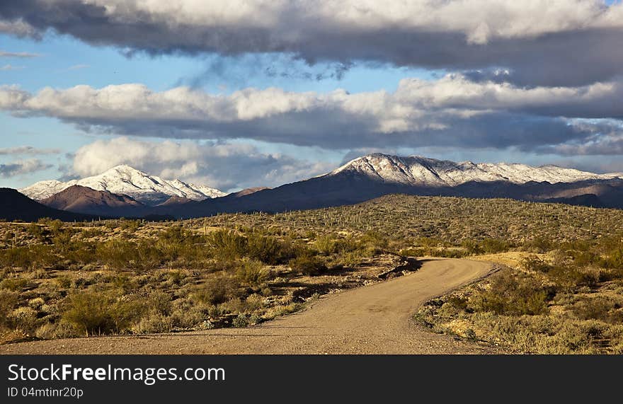 Sun Kissed Winter Desert