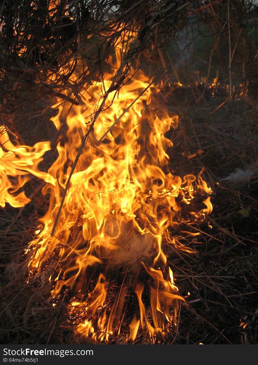 Body of flame inflaming in a field. Body of flame inflaming in a field