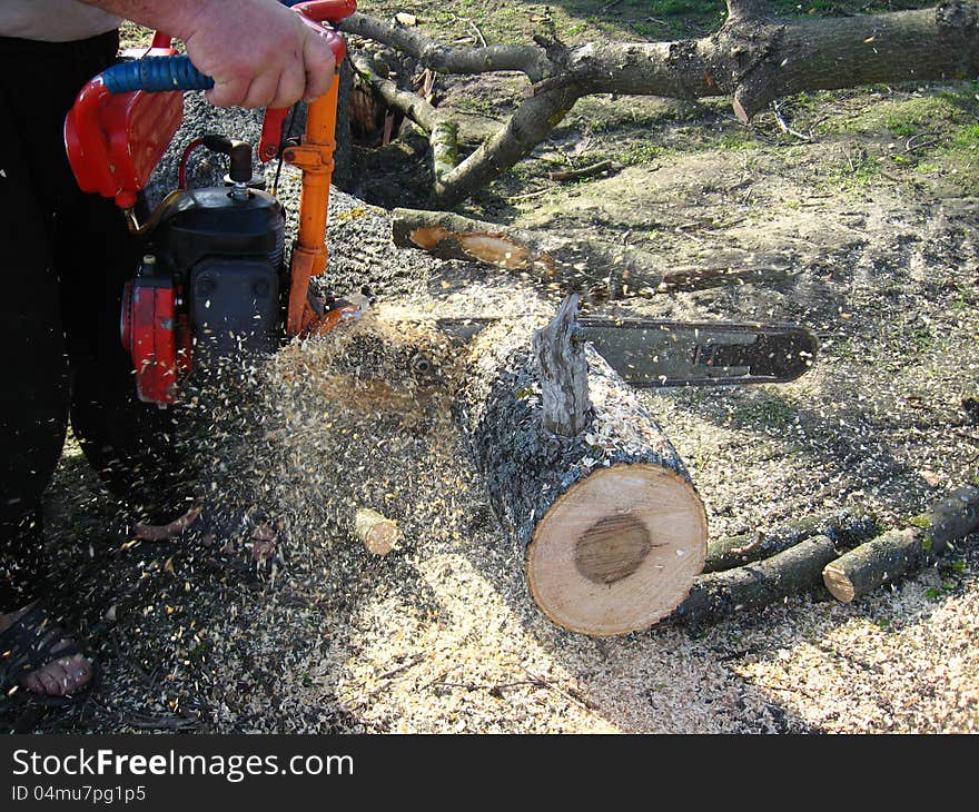 The man sawing the firewoods by petrol saw. The man sawing the firewoods by petrol saw