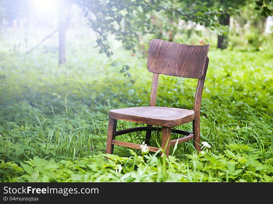 A view of a wooden chair under a huge tree