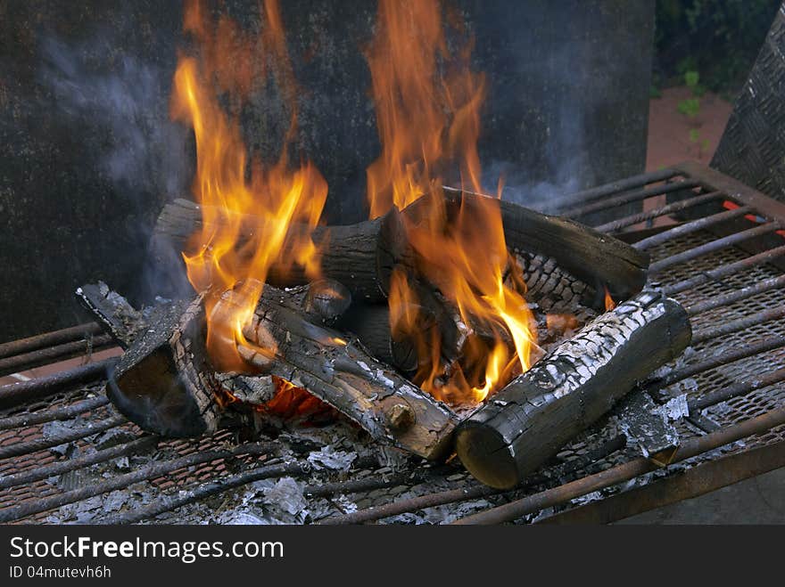 Garden party and outdoor grilling