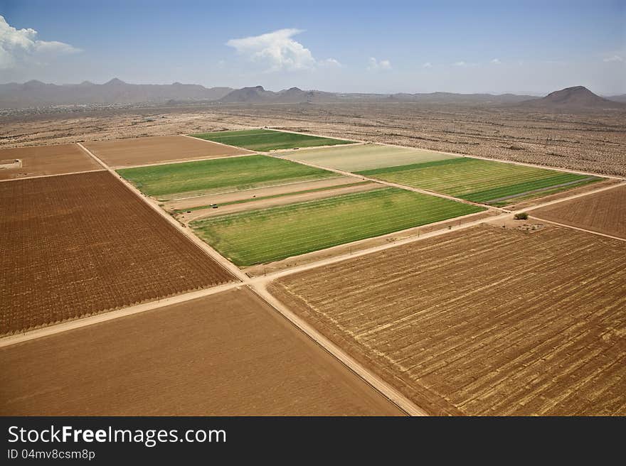 Farmland Meets The Desert