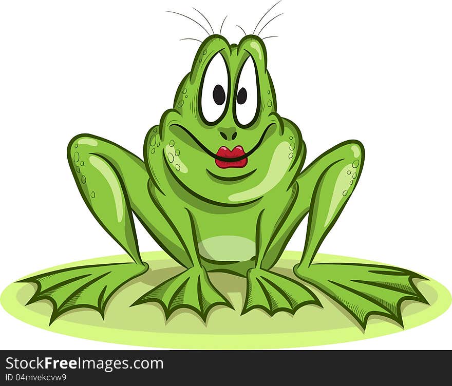 Female frog isolated on white, vector illustration