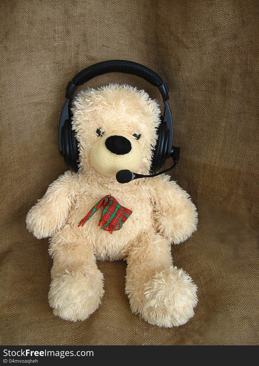 Toy Bear In Headphones