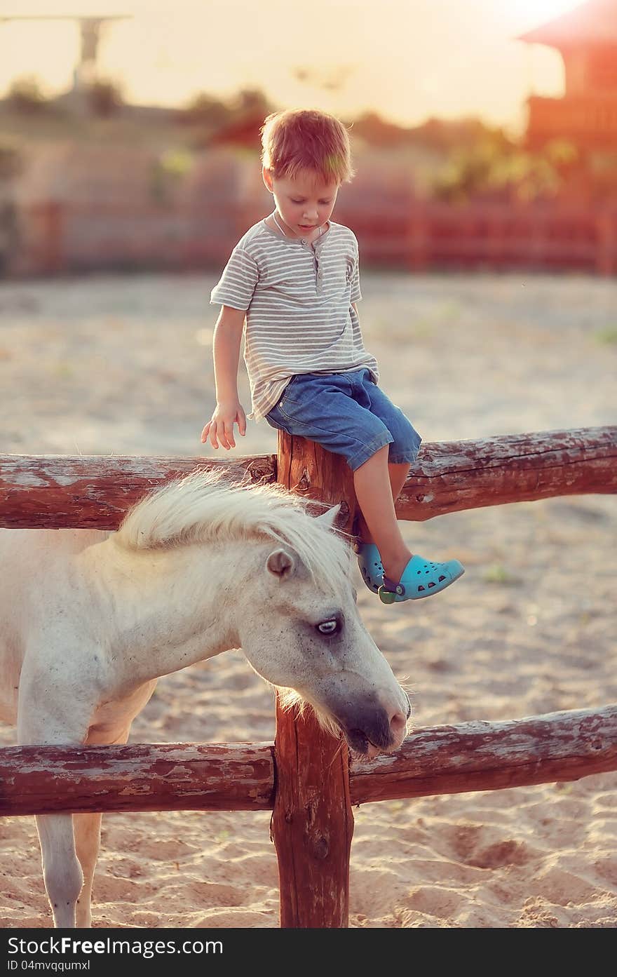 On a farm the boy in jeans with white a pony gets acquainted. On a farm the boy in jeans with white a pony gets acquainted