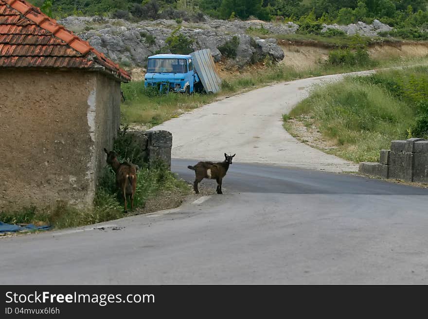 Abandoned truck next to the road in Croatia.