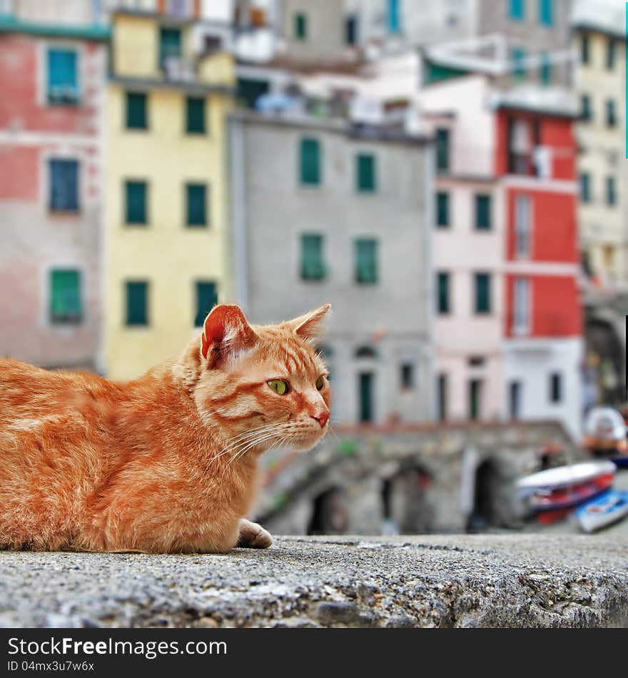 Colors of sunny Italy - famous Cinque terre. Colors of sunny Italy - famous Cinque terre