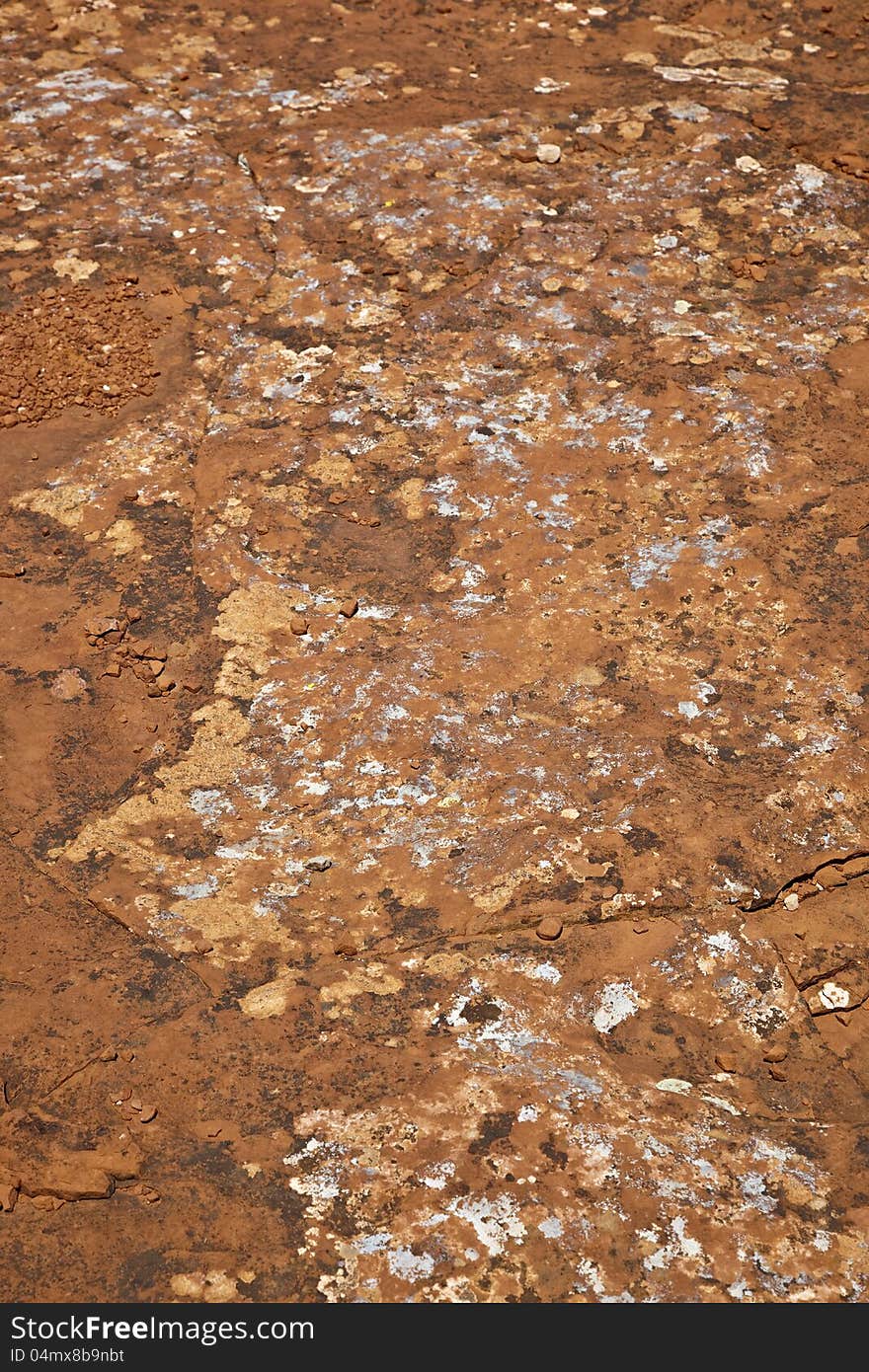 Lichen On Red Rock