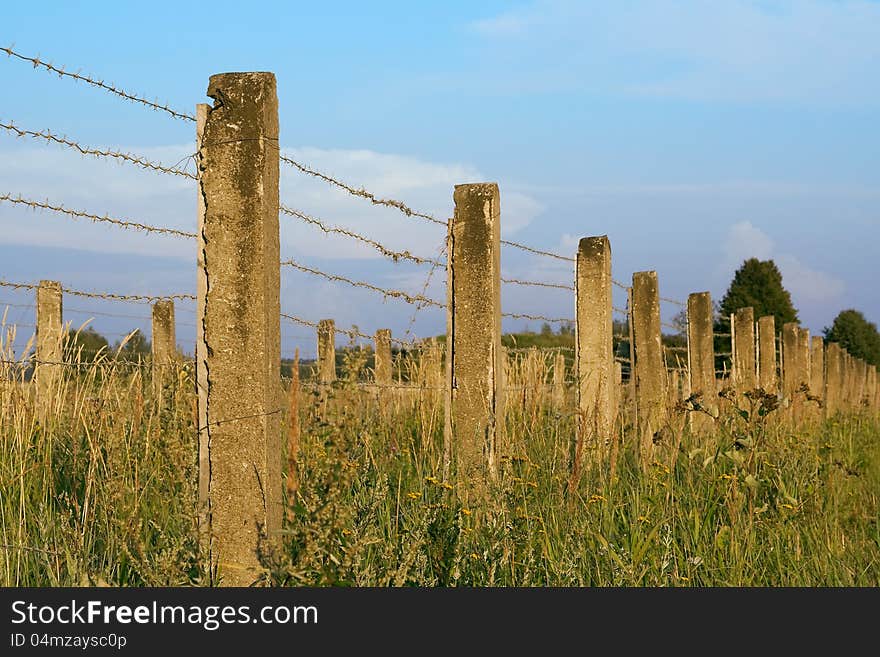 The concrete fence with barbed wire, photographed on a summer evening