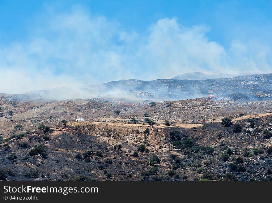 Bushfire in the Mountains of Crete/Greece. Bushfire in the Mountains of Crete/Greece