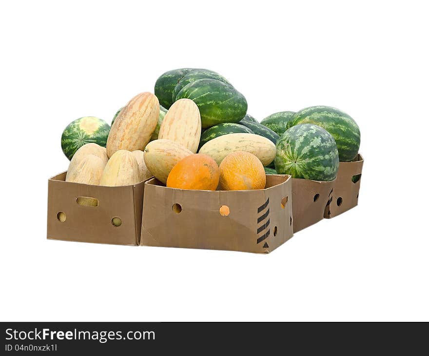 Watermelons and melons in cardboard boxes