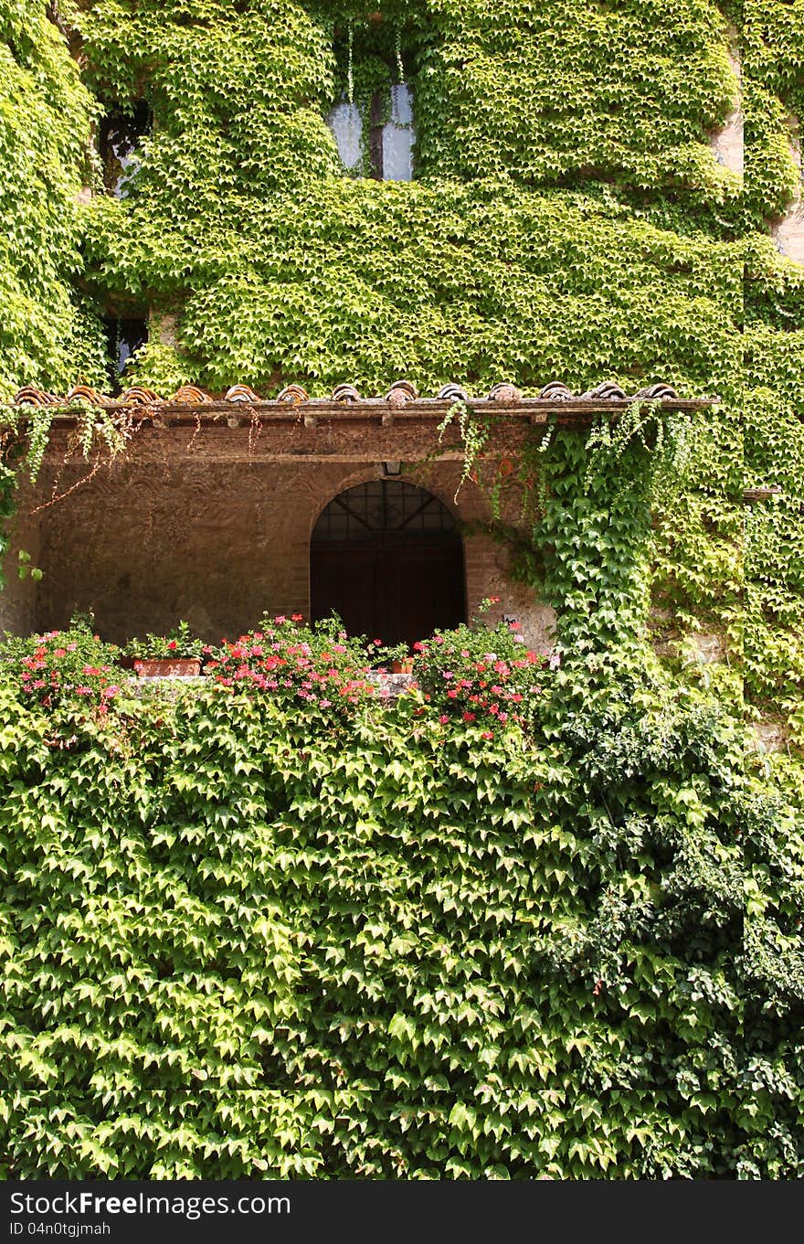 Ivy-covered House In Tuscany