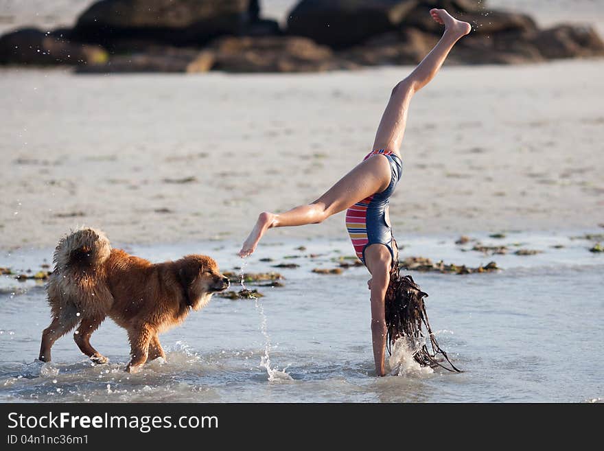 Young girl plays with her Elo (German dog breed) puppy at the beach and makes a handstand. Young girl plays with her Elo (German dog breed) puppy at the beach and makes a handstand
