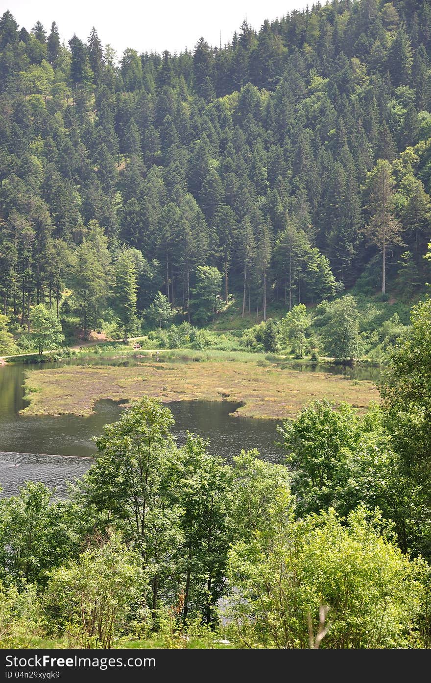 View from above on the Nonnenmattweiher in the Black Forest