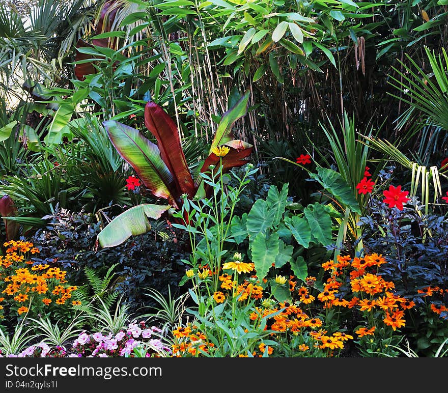 A profusion of Colorful Summer Flowers in an English garden