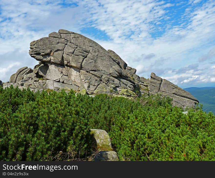 Lonely rock in the middle of the forest - Sudetes, Poland