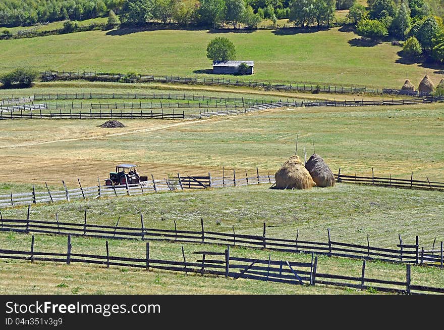 Specific mountain agriculture relief near Transalpina road in Romania