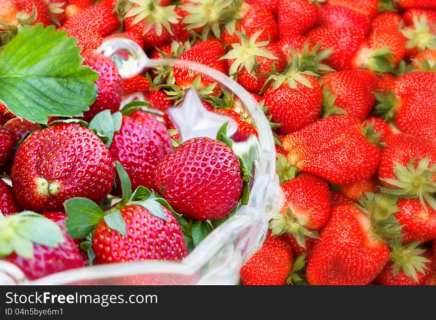 Lots of fresh strawberries in a glass bowl. Lots of fresh strawberries in a glass bowl