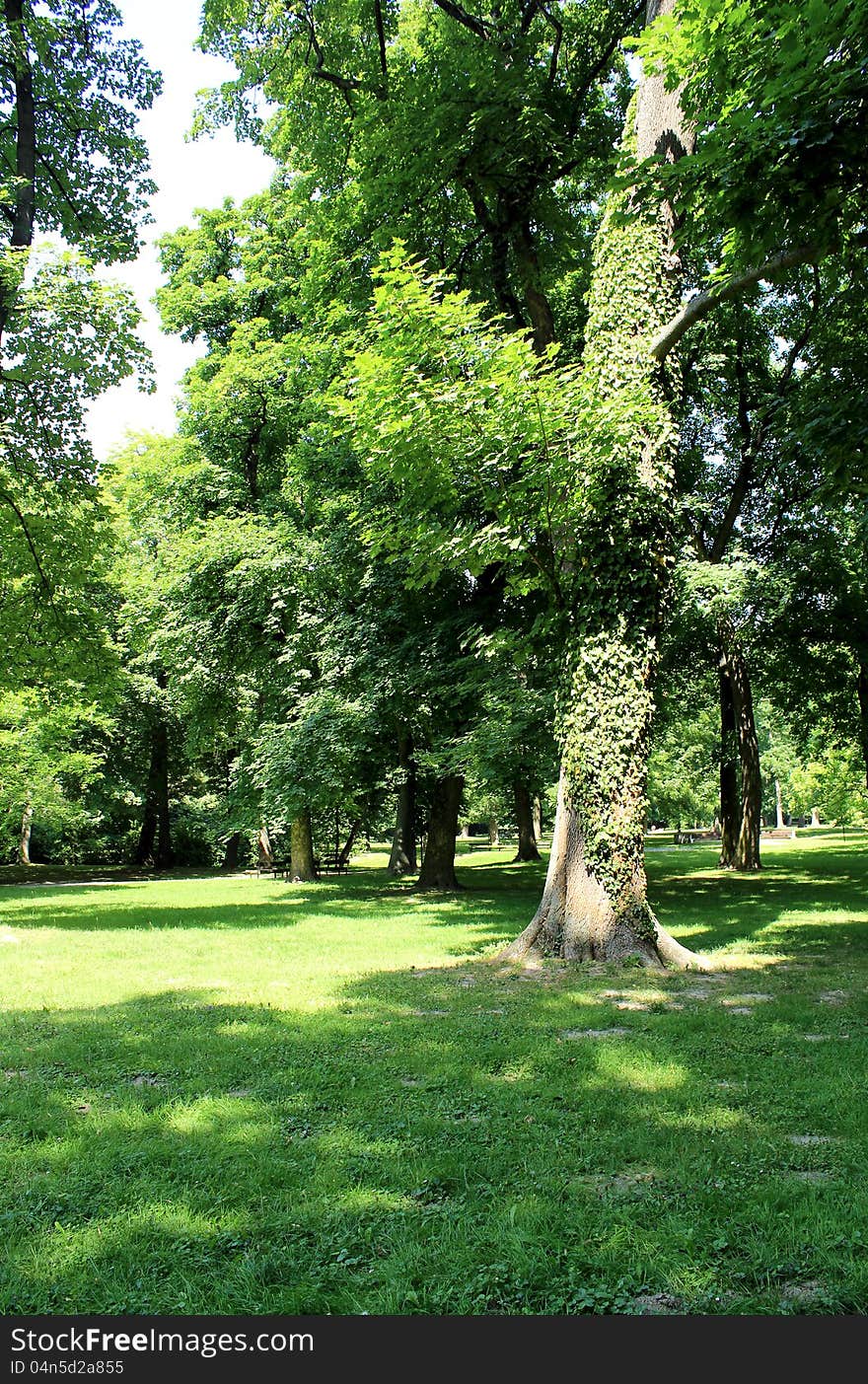 Famous Sad Janka Kráľa Park. (The Oldest public park in Central Europe, established in 1774-1776). Bratislava. Slovakia. Famous Sad Janka Kráľa Park. (The Oldest public park in Central Europe, established in 1774-1776). Bratislava. Slovakia