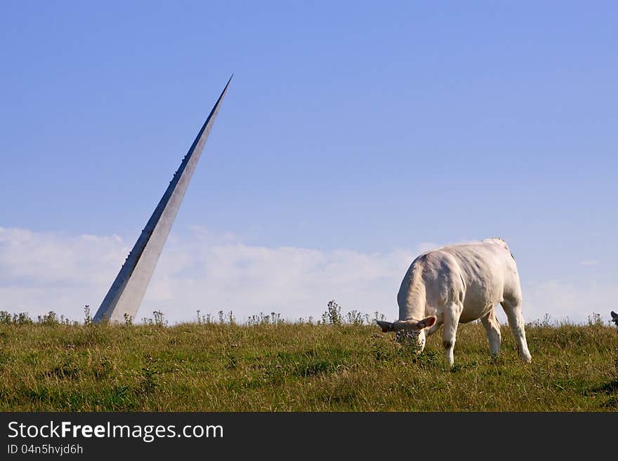 White cow eating grass in front of a sculpture of a peak. White cow eating grass in front of a sculpture of a peak