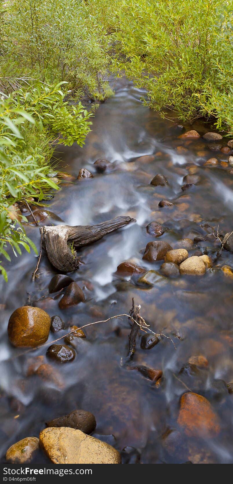 Small creek from Hobart Lake with blurred water and green plants. Small creek from Hobart Lake with blurred water and green plants.