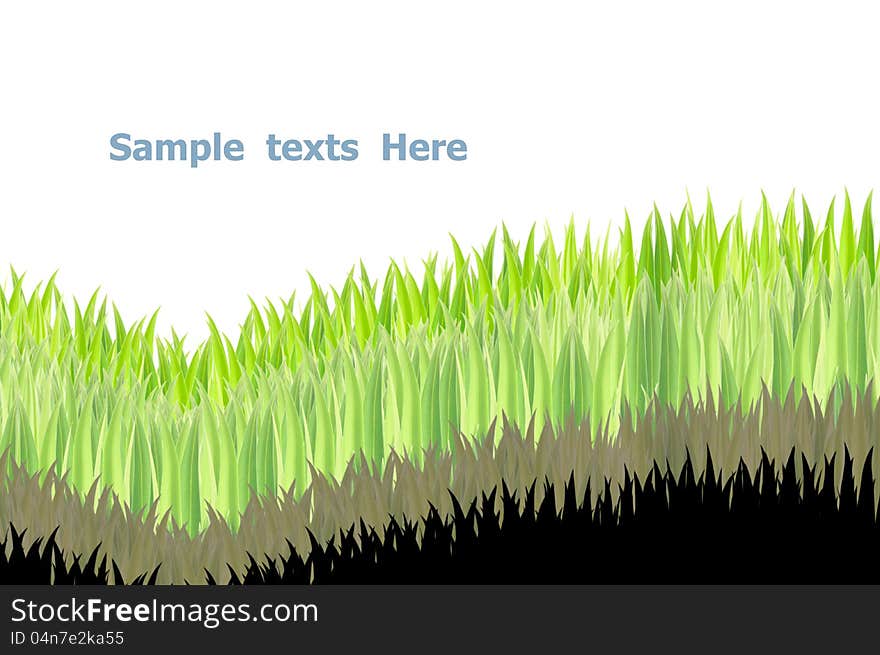 Green grasses on white background