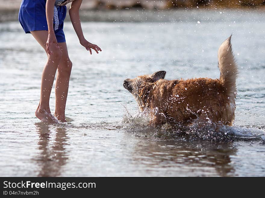 Dog shakes off the water in front of a girl