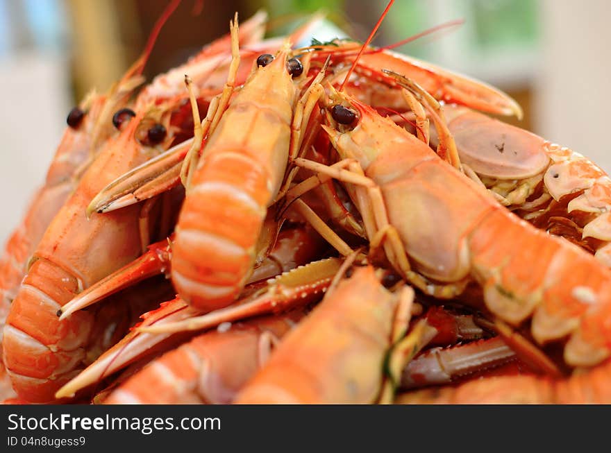 Closeup of plate with boild crayfish. Closeup of plate with boild crayfish