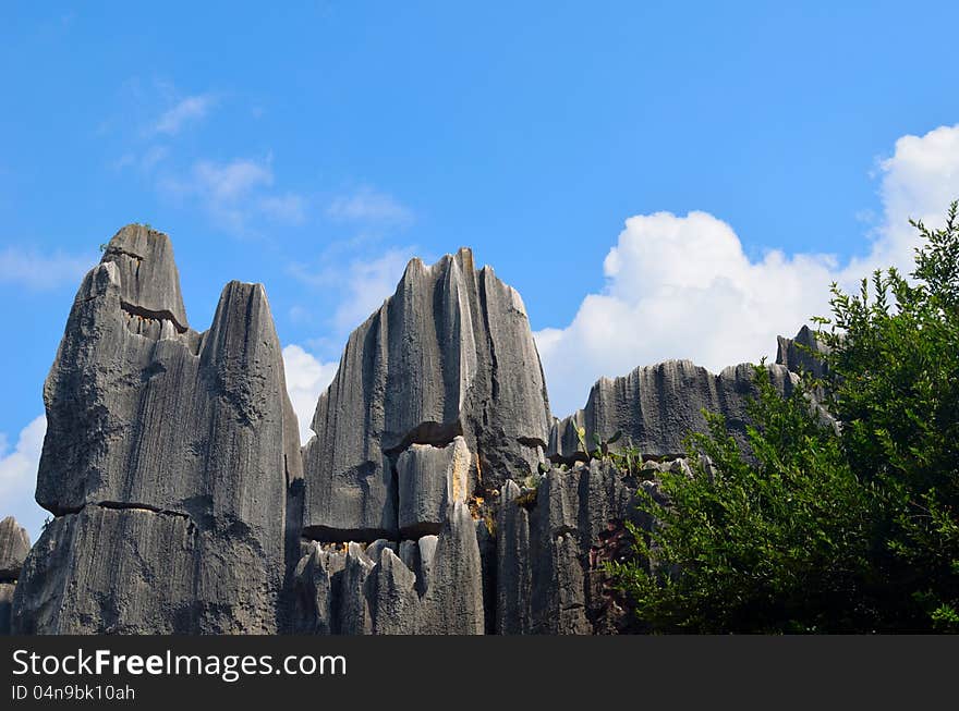 Stone forest in Yunnan Province, China。This is a rare type of karst topography。Chinas largest stone forest karst landforms.